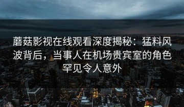 蘑菇影视在线观看深度揭秘：猛料风波背后，当事人在机场贵宾室的角色罕见令人意外
