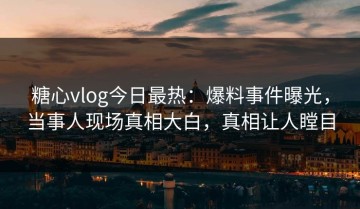 糖心vlog今日最热：爆料事件曝光，当事人现场真相大白，真相让人瞠目