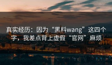 真实经历：因为“黑料wang”这四个字，我差点背上虚假“官网”麻烦
