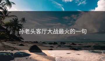 孙老头客厅大战最火的一句