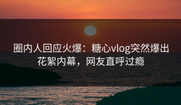 圈内人回应火爆：糖心vlog突然爆出花絮内幕，网友直呼过瘾