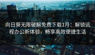 向日葵无限破解免费下载1月：解锁远程办公新体验，畅享高效便捷生活