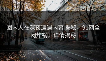 圈内人在深夜遭遇内幕 揭秘，91网全网炸锅，详情揭秘
