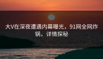 大V在深夜遭遇内幕曝光，91网全网炸锅，详情探秘