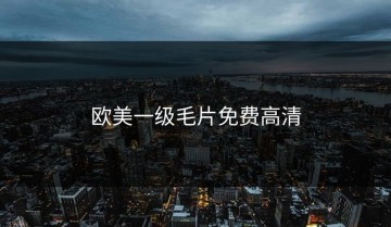 欧美一级毛片免费高清