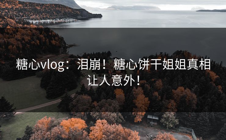 糖心vlog：泪崩！糖心饼干姐姐真相让人意外！