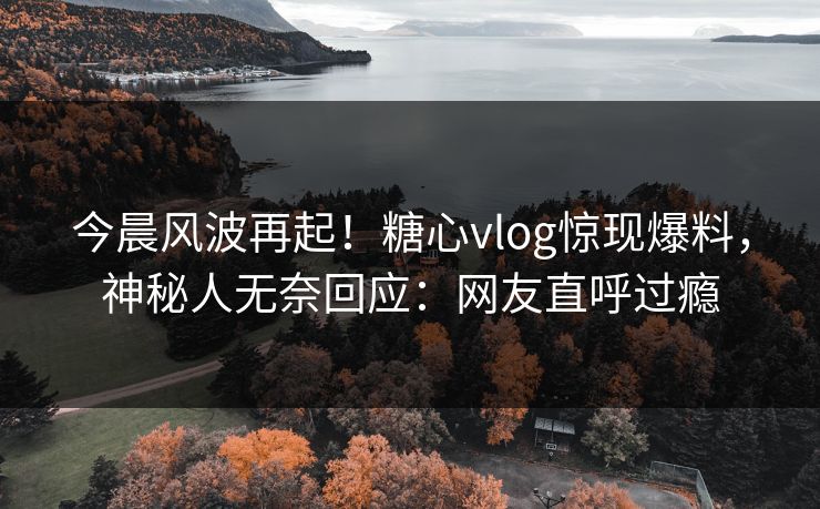 今晨风波再起！糖心vlog惊现爆料，神秘人无奈回应：网友直呼过瘾
