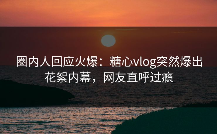 圈内人回应火爆：糖心vlog突然爆出花絮内幕，网友直呼过瘾