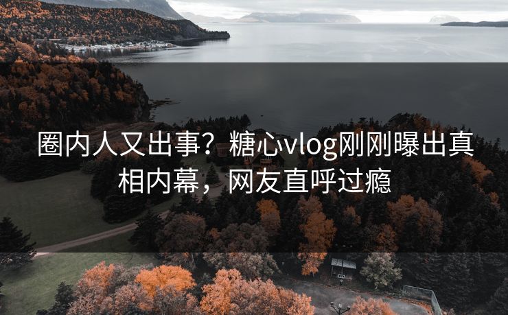 圈内人又出事？糖心vlog刚刚曝出真相内幕，网友直呼过瘾