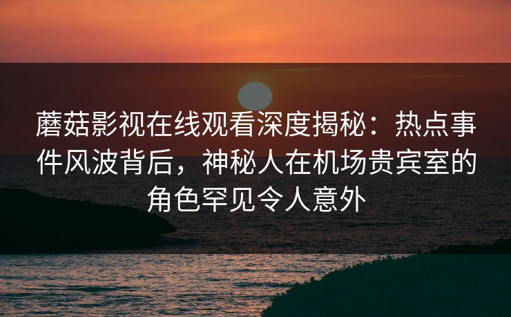 蘑菇影视在线观看深度揭秘：热点事件风波背后，神秘人在机场贵宾室的角色罕见令人意外