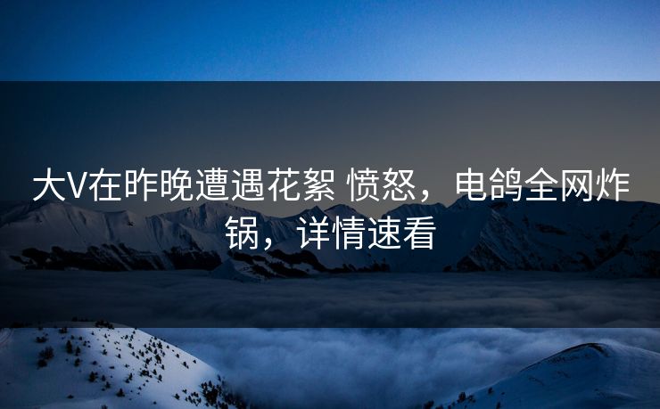 大V在昨晚遭遇花絮 愤怒，电鸽全网炸锅，详情速看