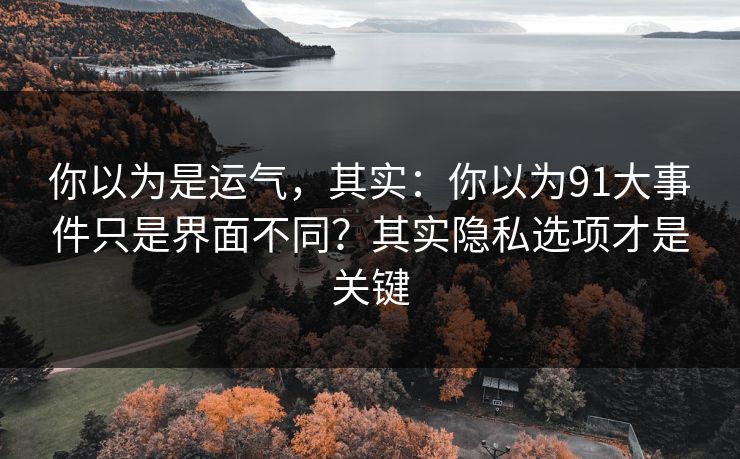 你以为是运气，其实：你以为91大事件只是界面不同？其实隐私选项才是关键